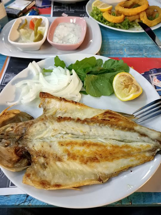 Fotoğraf 17