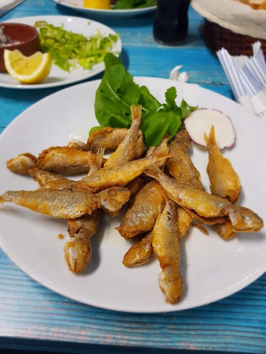 Fotoğraf 33