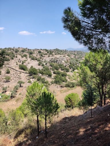 Fotoğraf 15