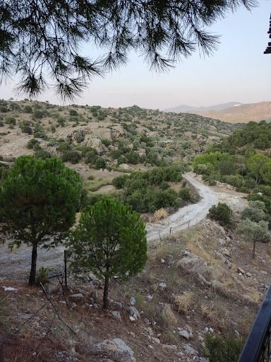Fotoğraf 16