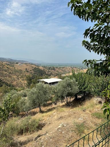 Fotoğraf 26