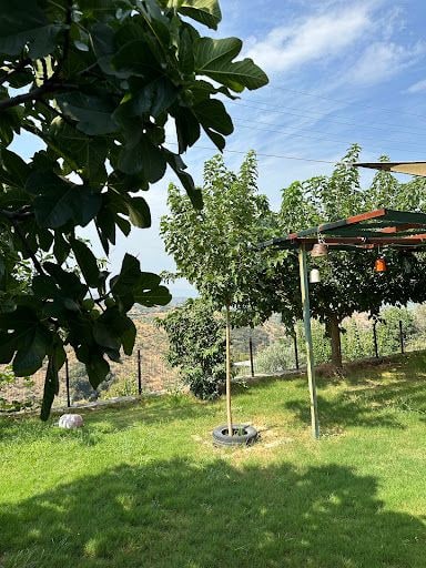 Fotoğraf 29