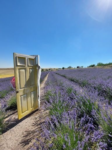 Yorum fotoğrafı 8