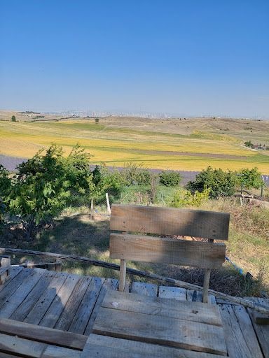 Yorum fotoğrafı 9