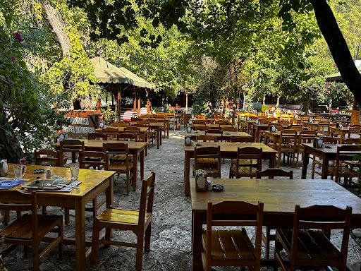 Fotoğraf 14