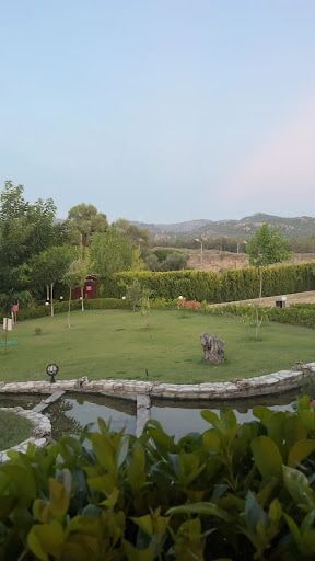 Fotoğraf 14