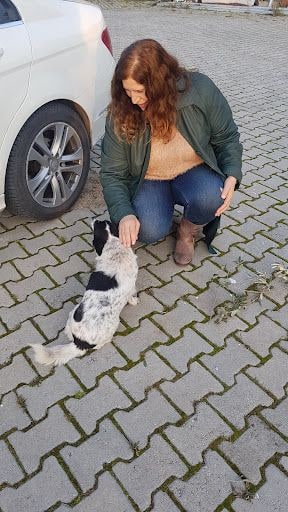 Fotoğraf 8