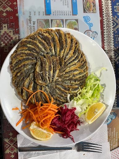 Yorum fotoğrafı 1