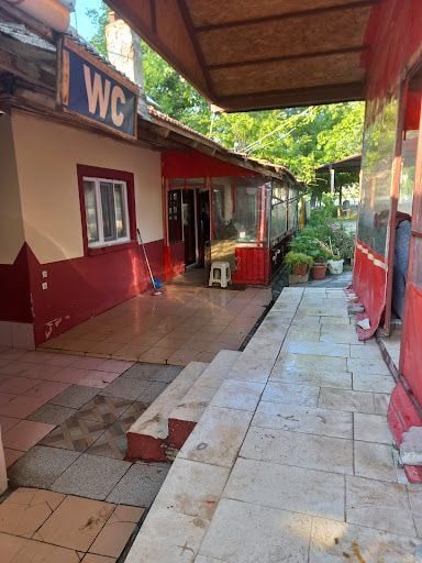 Fotoğraf 41