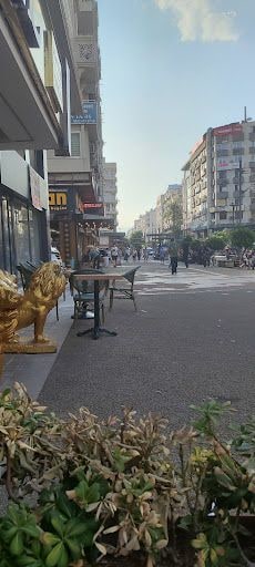 Fotoğraf 13