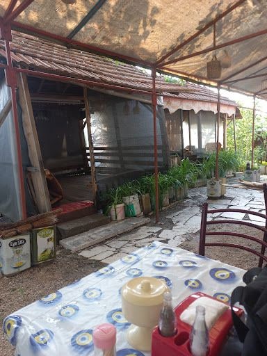 Fotoğraf 42