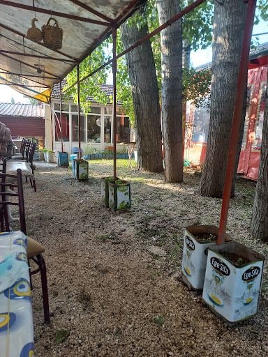Fotoğraf 43