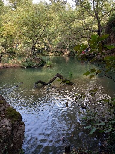 Yorum fotoğrafı 5