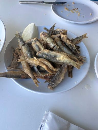 Fotoğraf 12