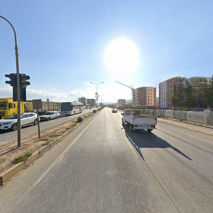 Fotoğraf 8