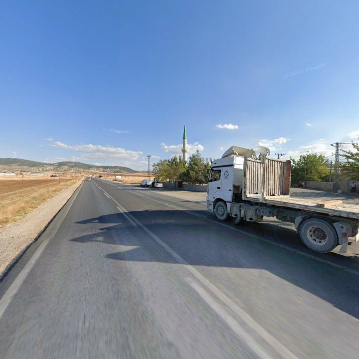 Fotoğraf 8