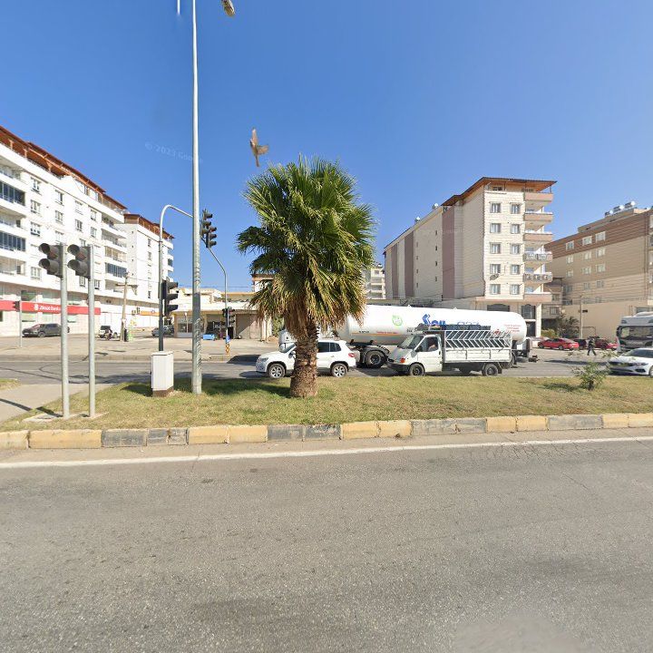 Fotoğraf 6