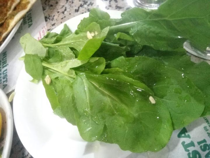 Fotoğraf 13