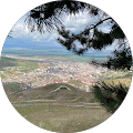 Nurise Erol