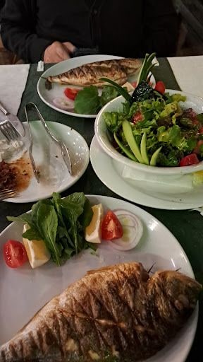 Fotoğraf 13
