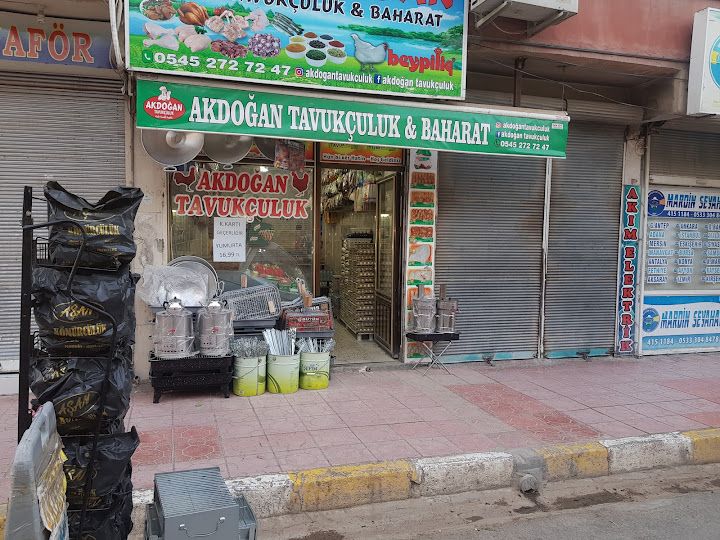 Akdogan Tavukculuk