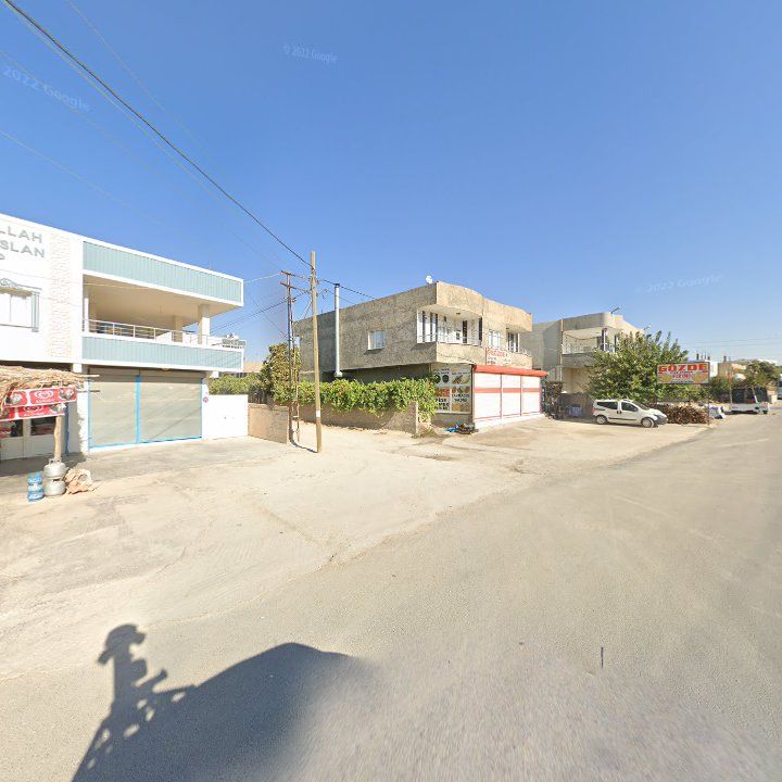 Fotoğraf 3