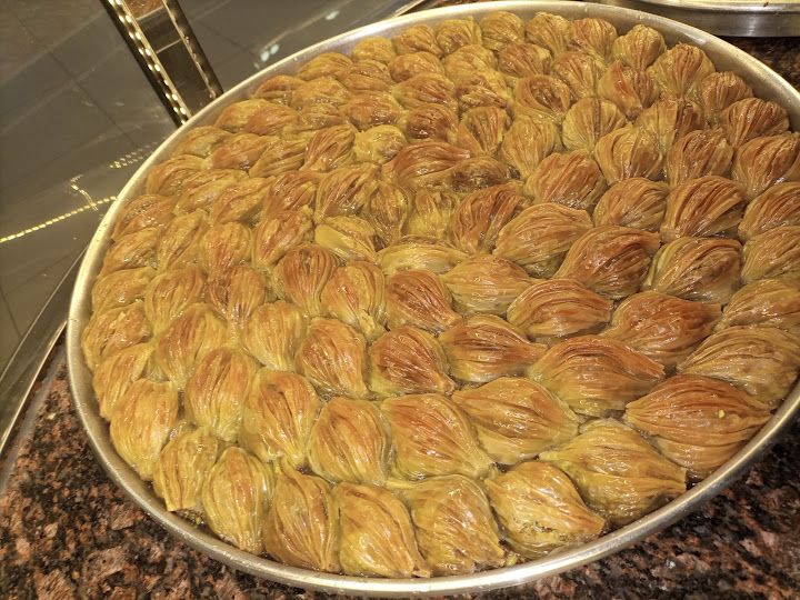 Şehri-zade