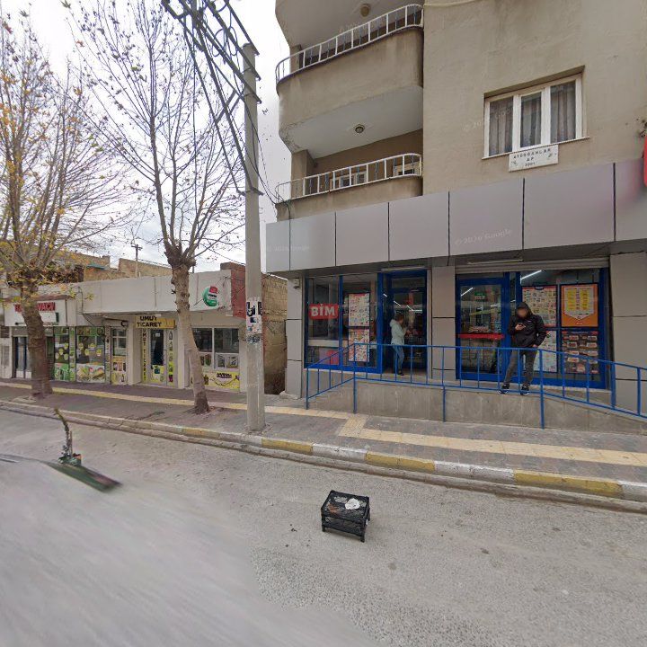 Fotoğraf 3