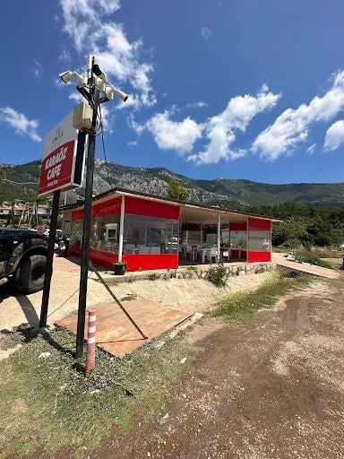 Fotoğraf 16