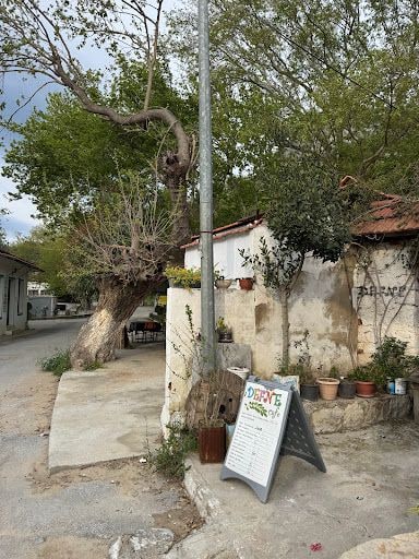Fotoğraf 22
