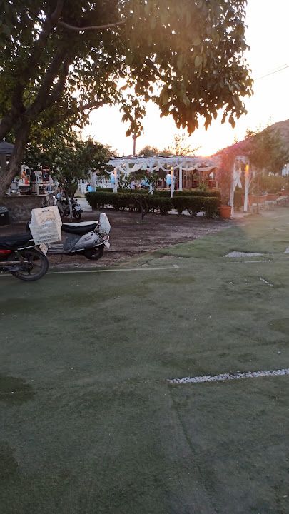 Fotoğraf 41