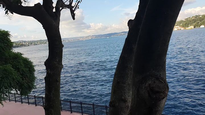 Fotoğraf 35