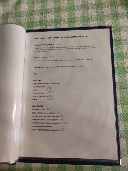 Fotoğraf 15