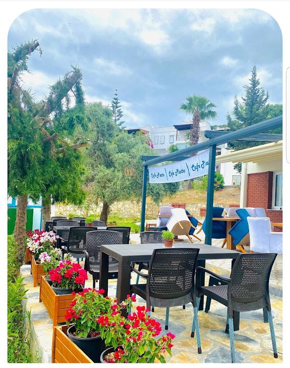 Fotoğraf 13