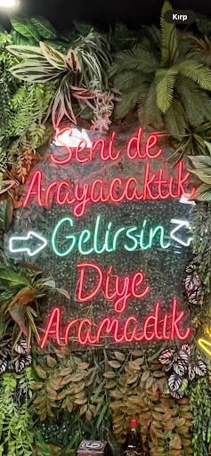 Yorum fotoğrafı 8