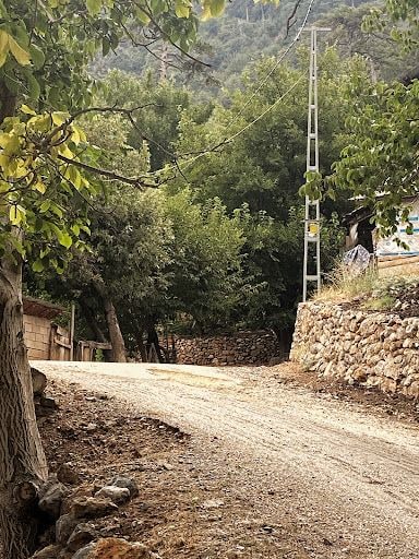 Yorum fotoğrafı 3