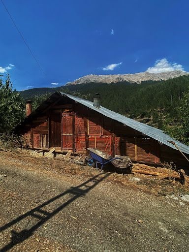 Yorum fotoğrafı 4