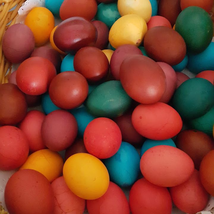 Fotoğraf 12