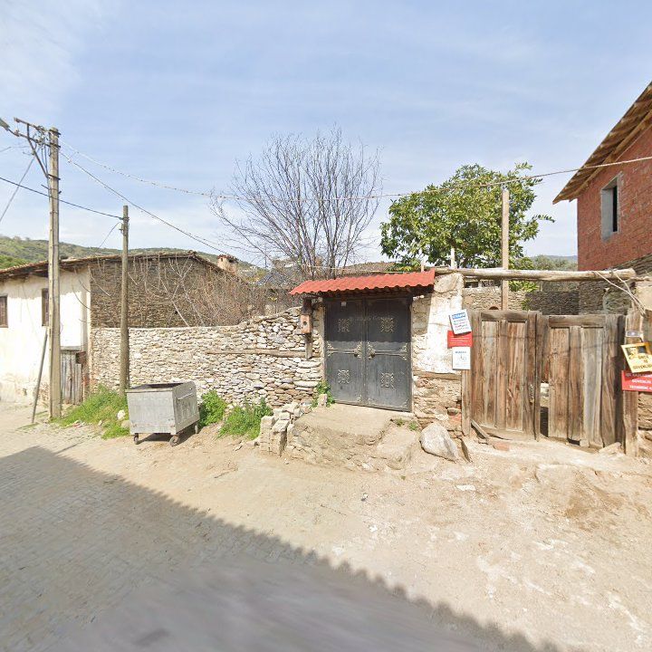 Fotoğraf 7