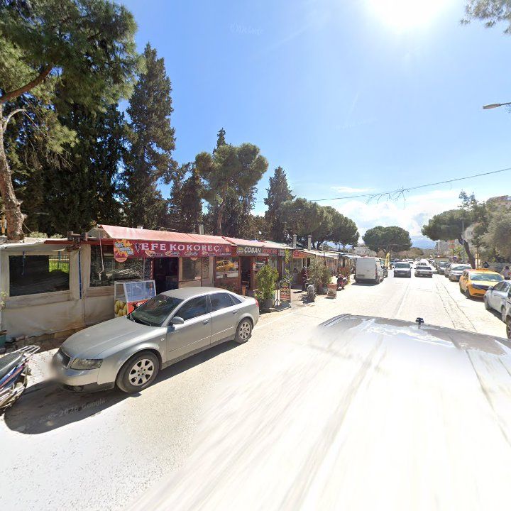 Fotoğraf 4