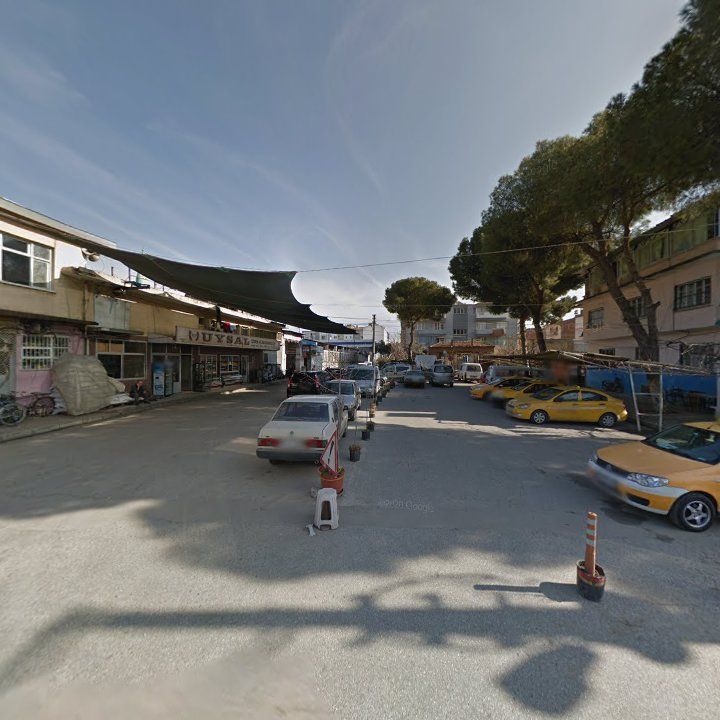 Fotoğraf 8