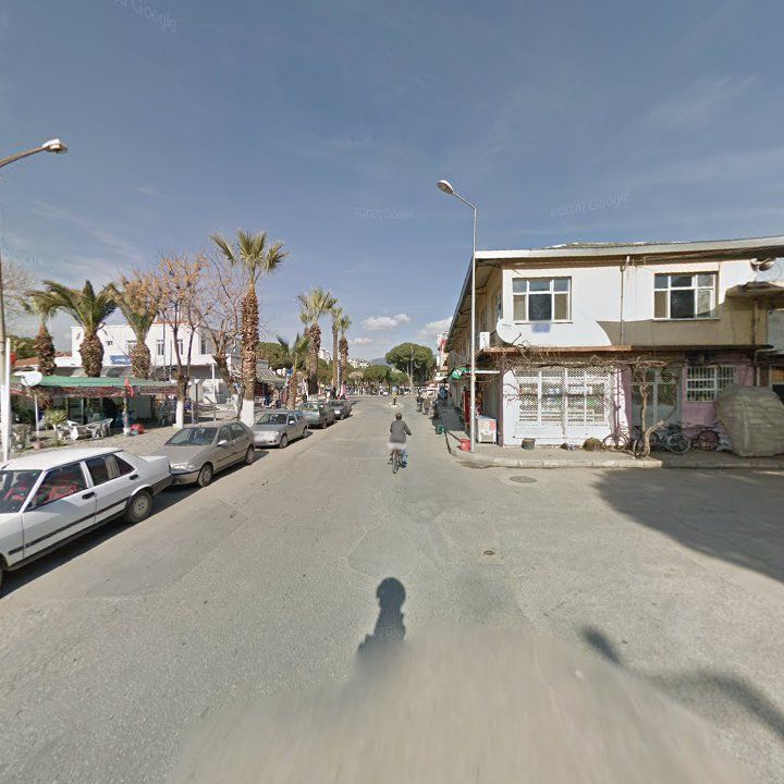 Fotoğraf 7