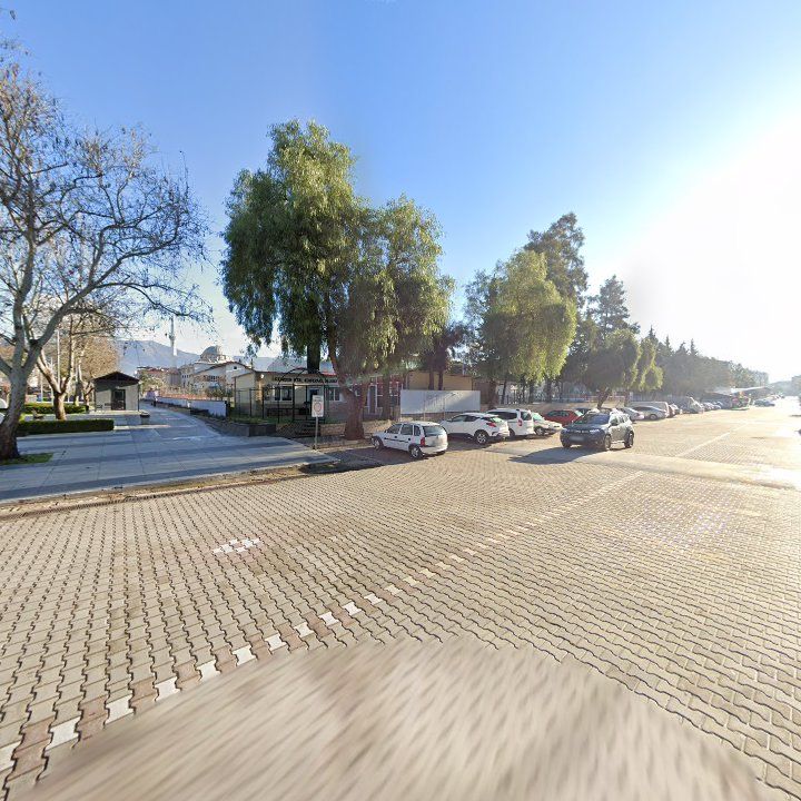 Fotoğraf 8