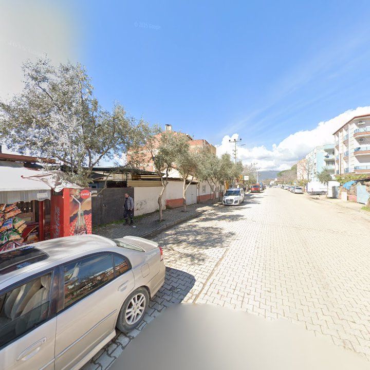 Fotoğraf 3