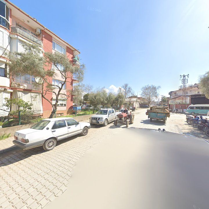 Fotoğraf 5
