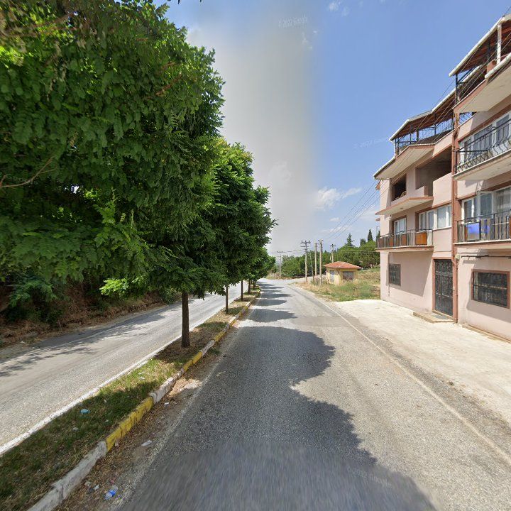 Fotoğraf 6