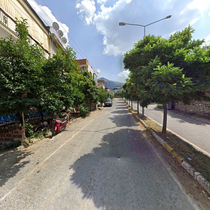 Fotoğraf 4