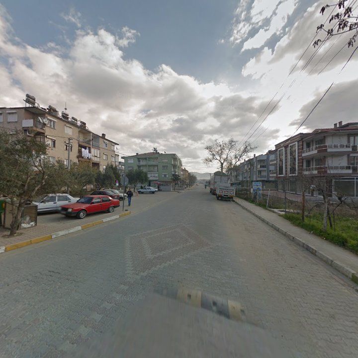 Fotoğraf 11