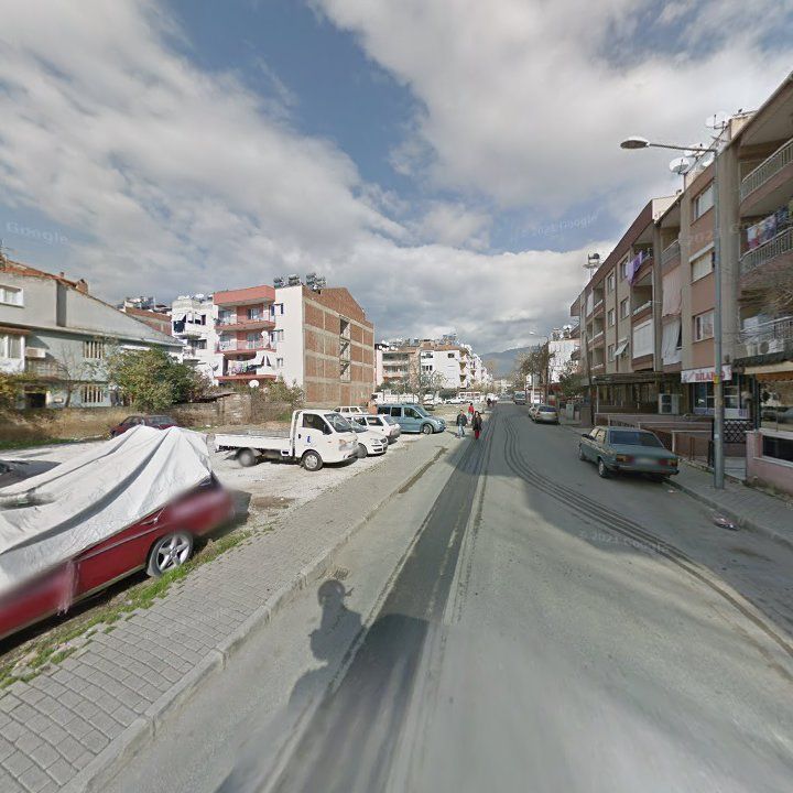 Fotoğraf 11