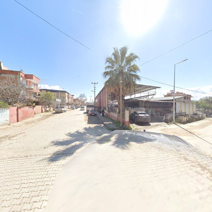Fotoğraf 4